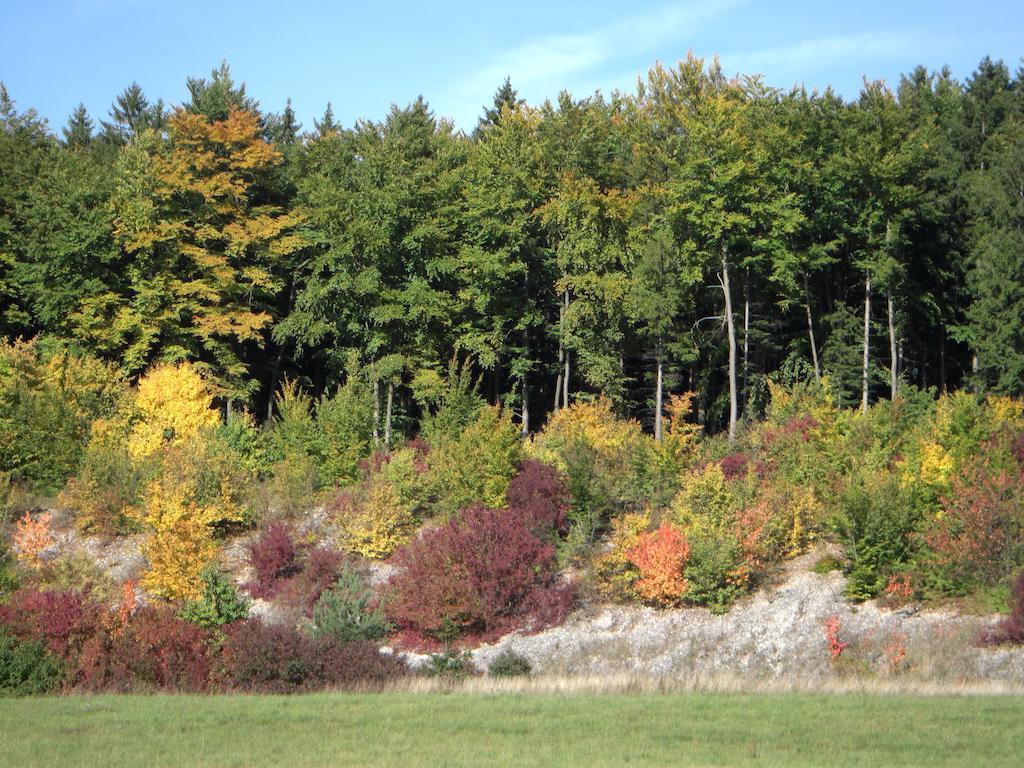 Gasthof Jaegerheim Birgland Exterior photo